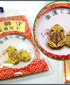 Kaeru Frog