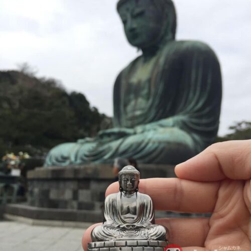 Daibutsu Size S Kamakura from Kotokuin Temple