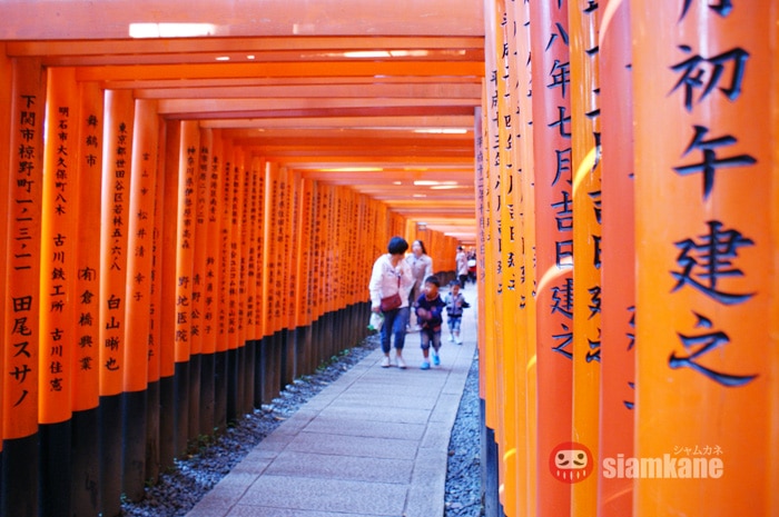 Vermilion Torii Gates at Fushimi Inari Shrine