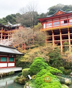 Yutoku Inari Shrine